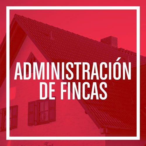 administracion fincas